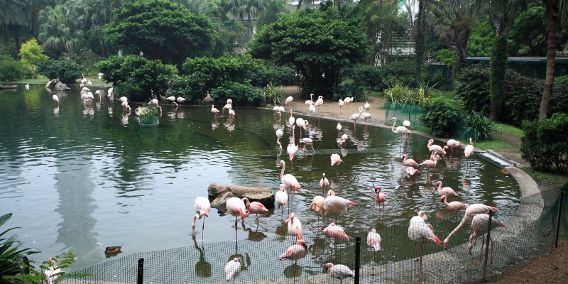 KL Bird Park